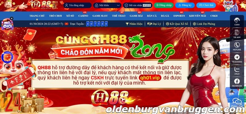 Giới thiệu tổng quan về đại lý QH88